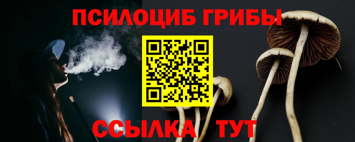 Галлюциногенные грибы Psilocybe  Вход с VPN  Псилоцибиновые грибы Magic Shrooms  Отрадное 