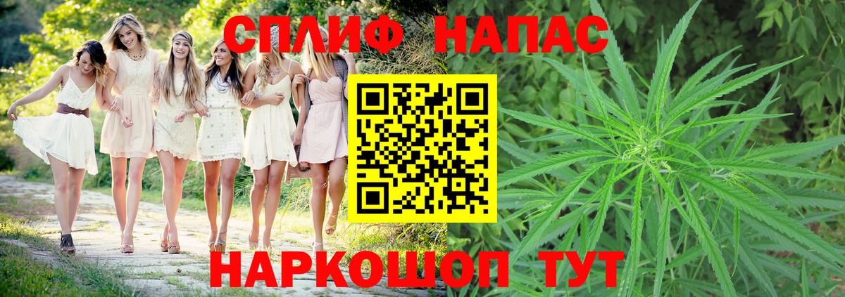 Конопля конопля Отрадное